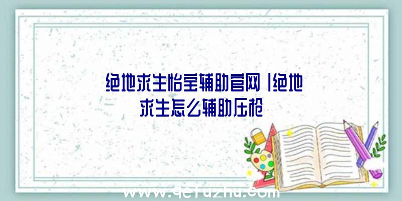 「绝地求生怡宝辅助官网」|绝地求生怎么辅助压枪